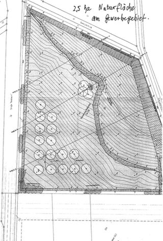 Scheven Ausgleichspflanzung Plan